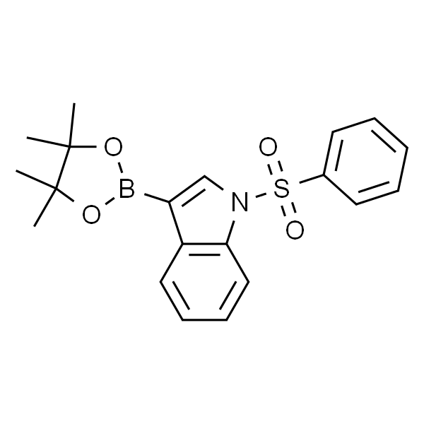 1-(Phenylsulfonyl)indole-3-boronic acid pinacol ester