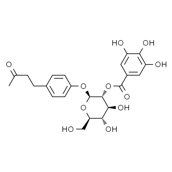 Isolindleyin